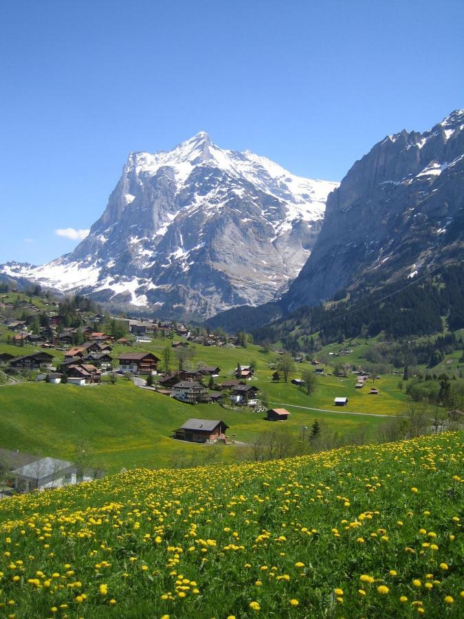 Chalet Baergblick Гриндельвальд Экстерьер фото