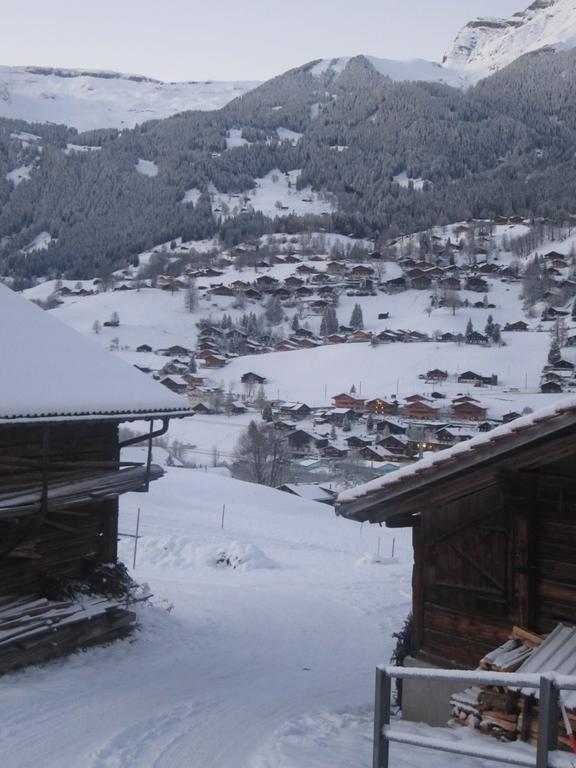 Chalet Baergblick Гриндельвальд Номер фото