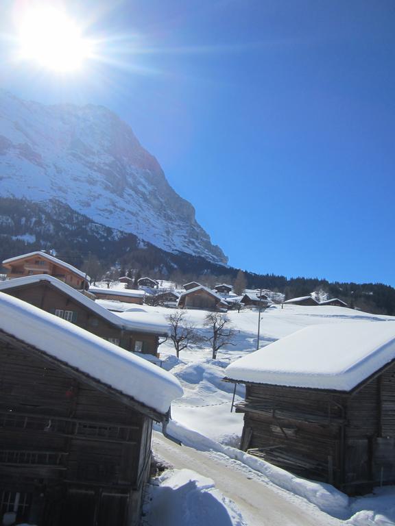 Chalet Baergblick Гриндельвальд Экстерьер фото